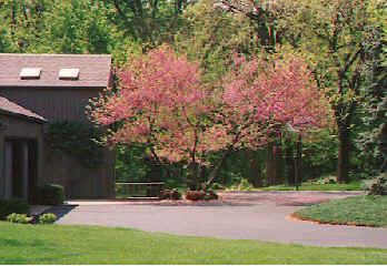 DR. & MRS. BILL SCHULTZ 1a - Columbus, IN